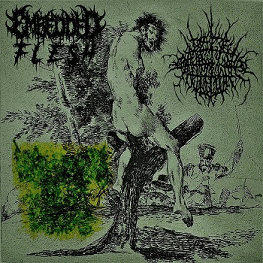 Brake Fluid Injection : FxVxC - Embedded Flesh - Brake Fluid Injection